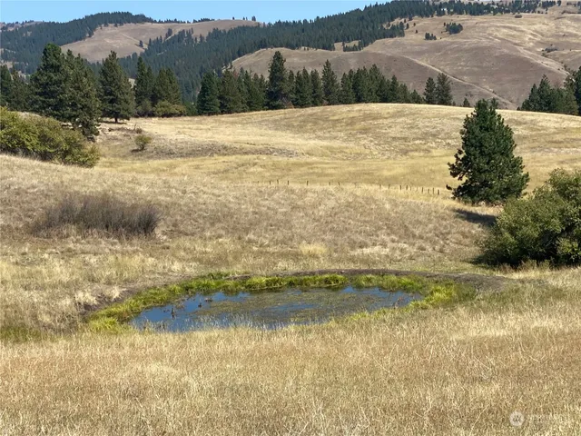 $1,595,000 | -xx Cougar Creek Road, Anatone, WA 99401