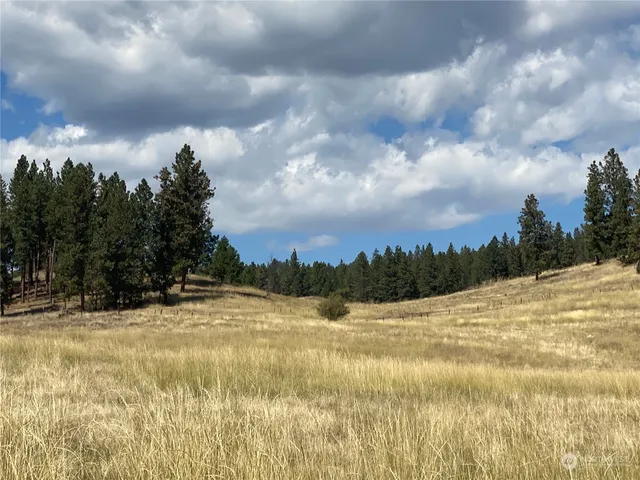 $1,595,000 | -xx Cougar Creek Road, Anatone, WA 99401