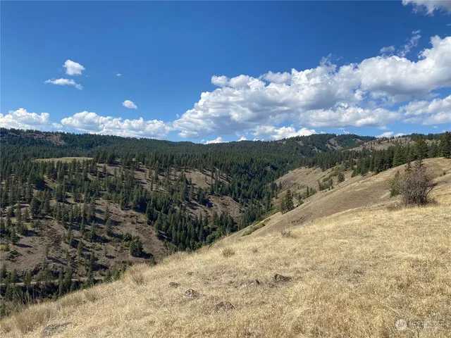 $1,595,000 | -xx Cougar Creek Road, Anatone, WA 99401