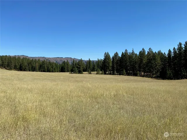 $1,595,000 | -xx Cougar Creek Road, Anatone, WA 99401