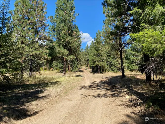 $1,595,000 | -xx Cougar Creek Road, Anatone, WA 99401