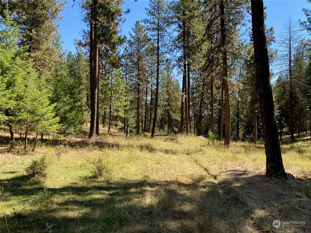 $1,595,000 | -xx Cougar Creek Road, Anatone, WA 99401