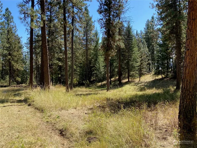 $1,595,000 | -xx Cougar Creek Road, Anatone, WA 99401