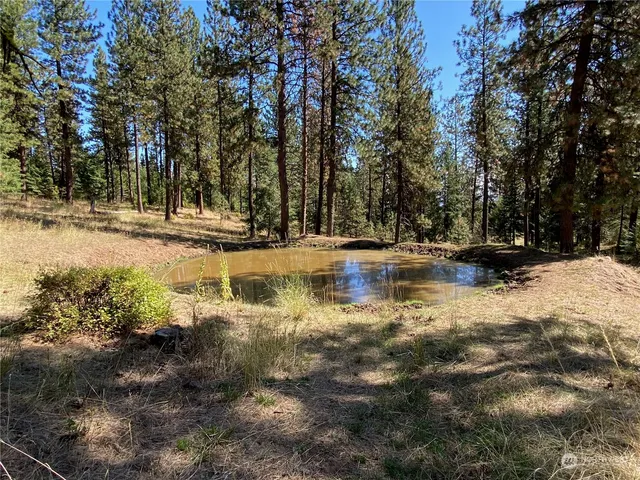 $1,595,000 | -xx Cougar Creek Road, Anatone, WA 99401