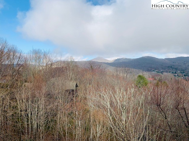 250 Chestnut Ridge, Unit 74 Banner Elk, NC 28604 - Photo 5 of 34 Gallery Image 5