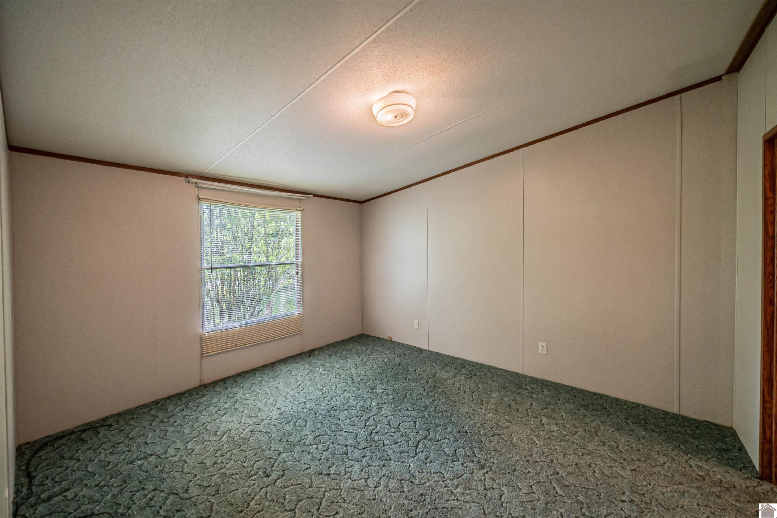 832 Irma Road Salem, KY 42078 - Photo 6 of 15 Photo 6