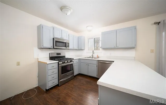 $250,000 | 1003 Fernwood Trail Court, Florissant, MO 63031