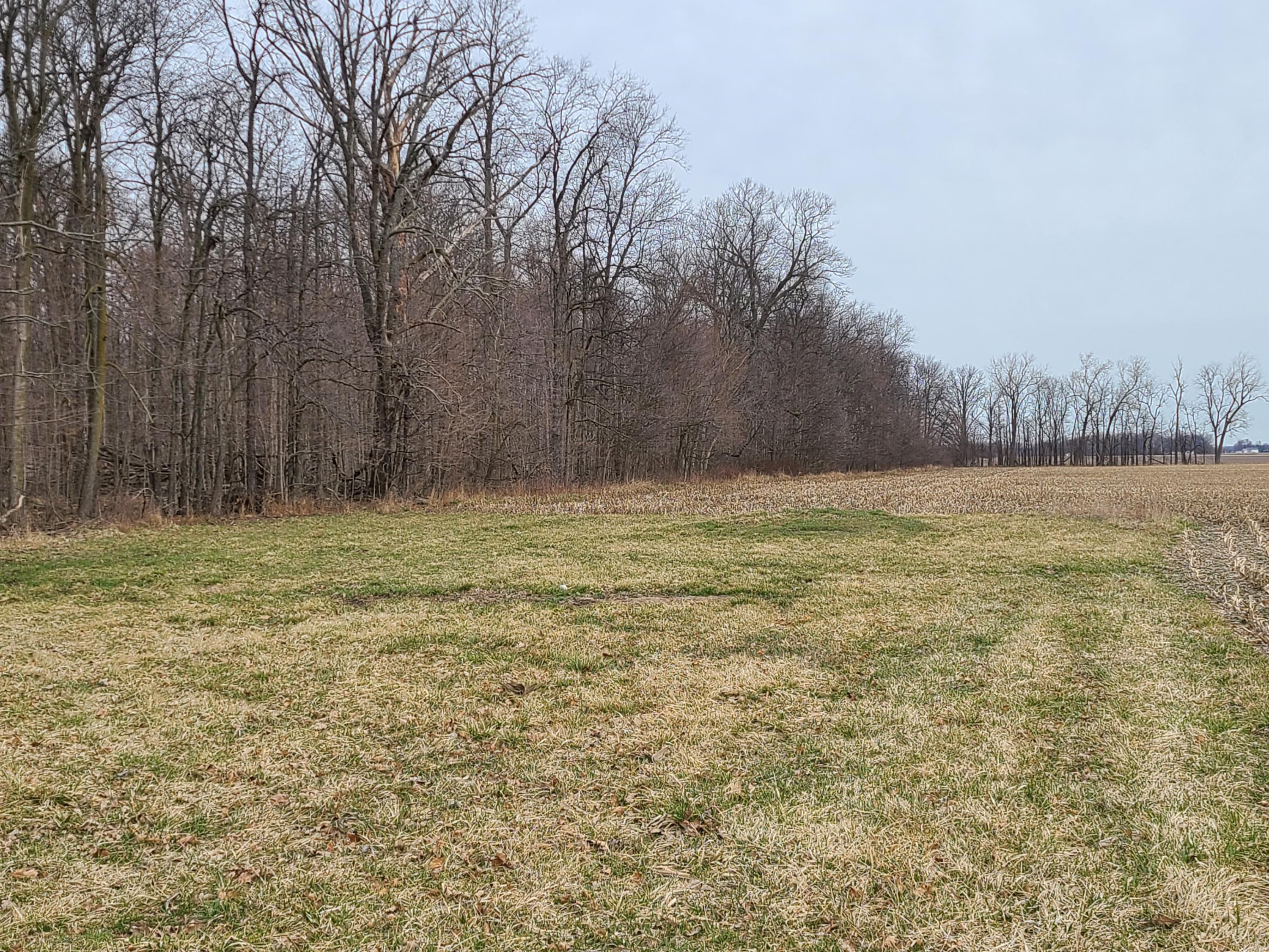 0 State Road Lakeview, OH 43331 - Photo 2 of 4