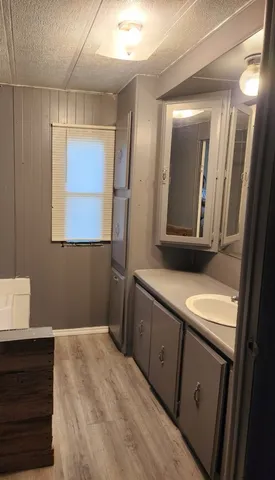 a bathroom with a sink and a mirror