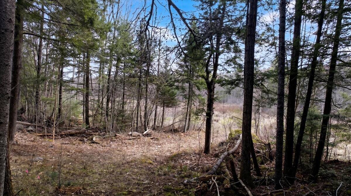 28 Trinity Way Monmouth, ME 04259 - Photo 11 of 33 16-DJI_20260504110327_0197_D_edit