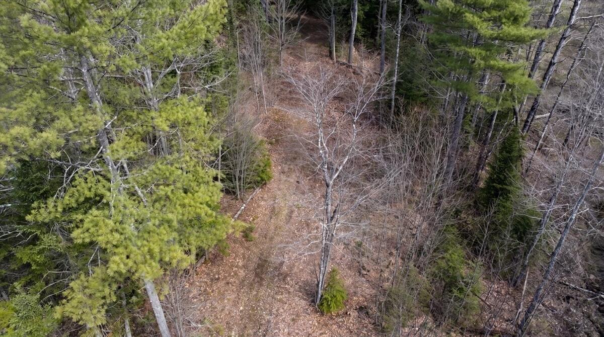 28 Trinity Way Monmouth, ME 04259 - Photo 16 of 33 10-DJI_20260504110210_0191_D_edit