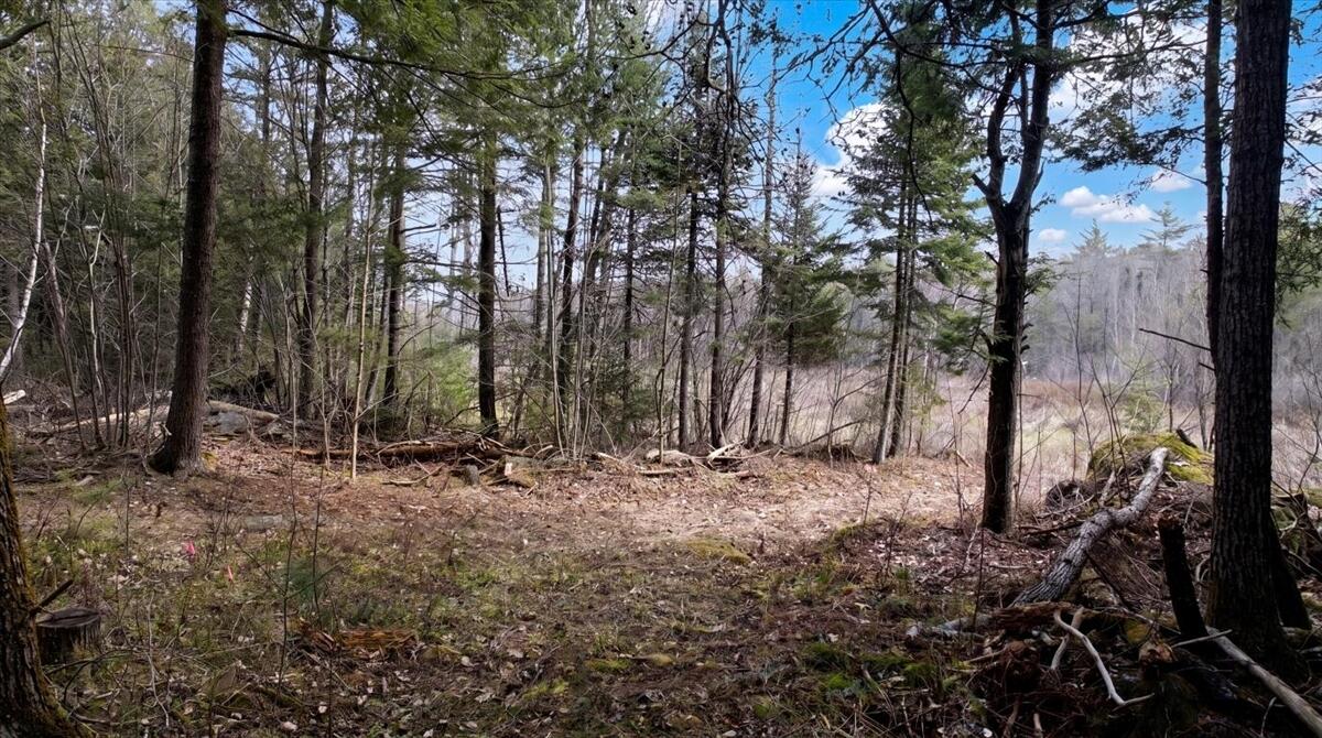 28 Trinity Way Monmouth, ME 04259 - Photo 17 of 33 17-DJI_20260504110331_0198_D_edit