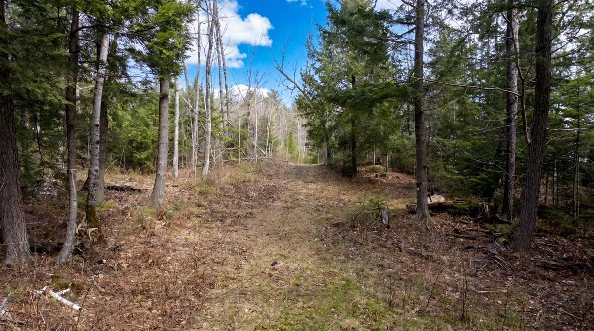 28 Trinity Way Monmouth, ME 04259 - Photo 19 of 33 20-DJI_20260504110402_0201_D_edit