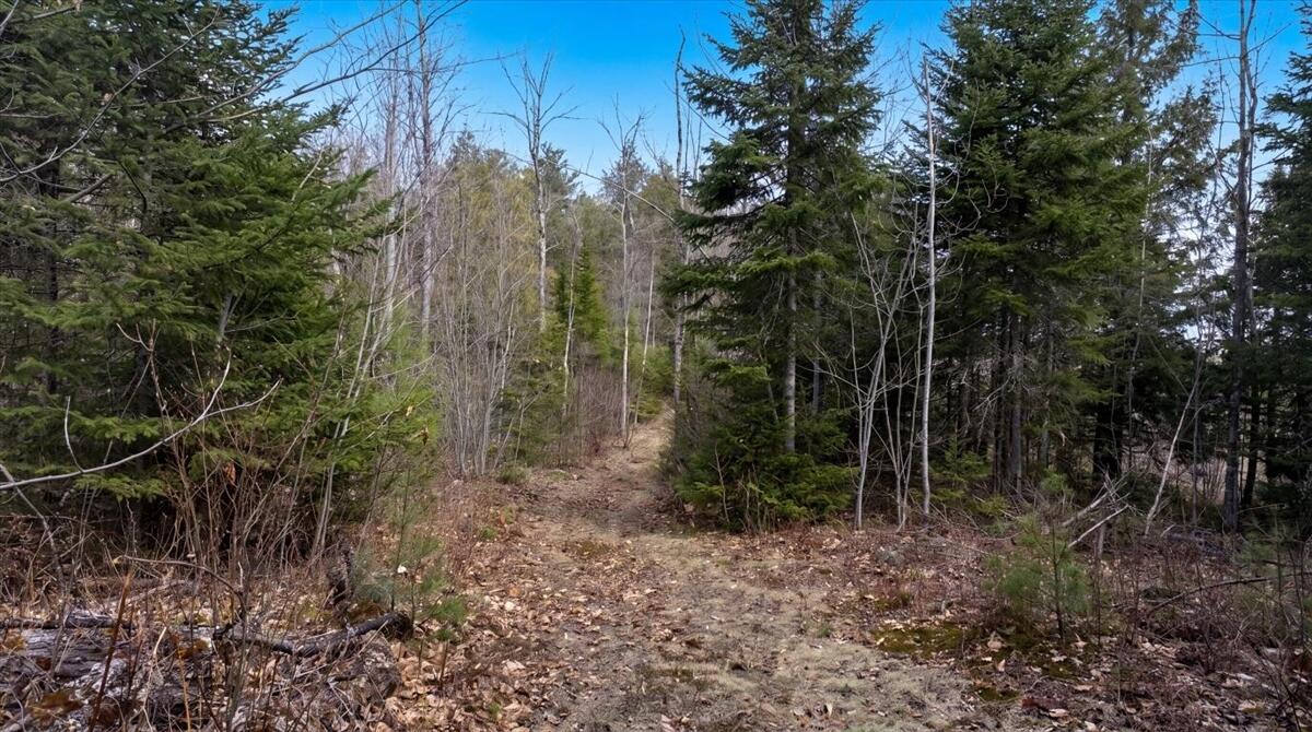28 Trinity Way Monmouth, ME 04259 - Photo 20 of 33 21-DJI_20260504110417_0202_D_edit