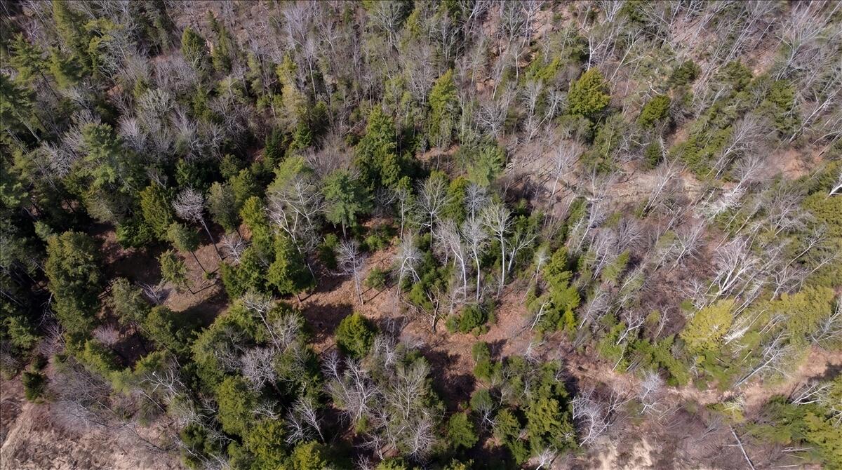 28 Trinity Way Monmouth, ME 04259 - Photo 28 of 33 29-DJI_20260504110632_0210_D_edit