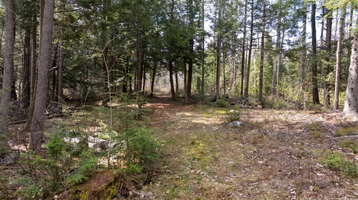 28 Trinity Way Monmouth, ME 04259 - Photo 30 of 33 31-DJI_20260504110712_0212_D_edit