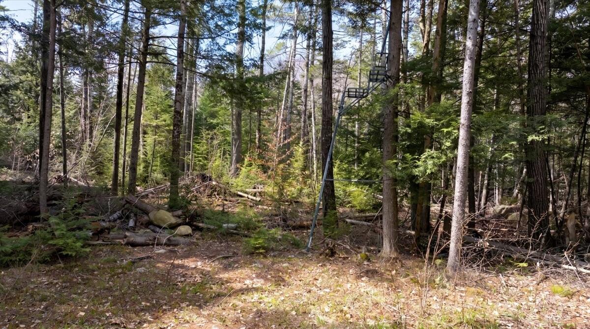 28 Trinity Way Monmouth, ME 04259 - Photo 32 of 33 33-DJI_20260504110726_0214_D_edit