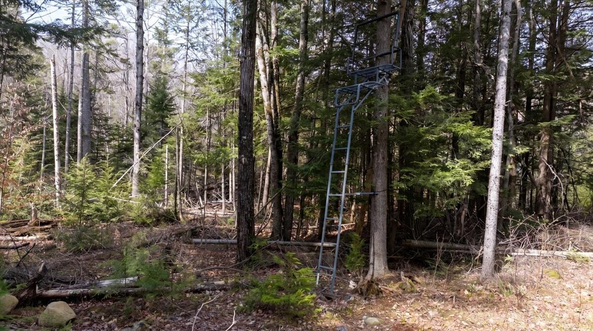 28 Trinity Way Monmouth, ME 04259 - Photo 33 of 33 34-DJI_20260504110731_0215_D_edit