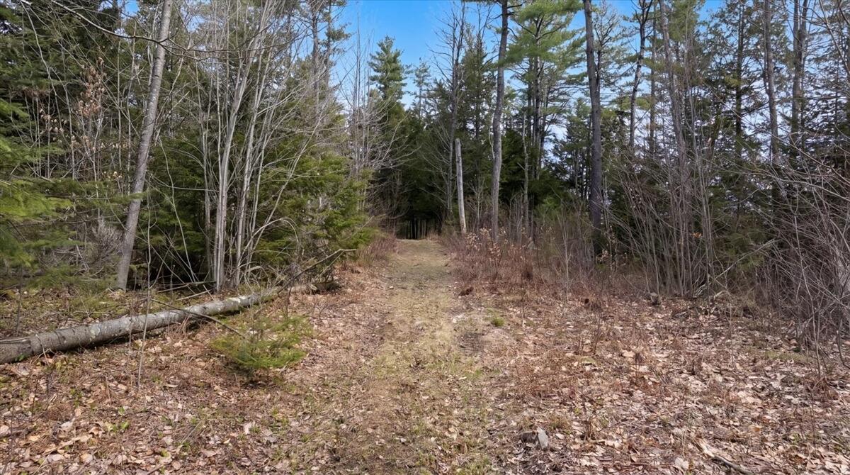 28 Trinity Way Monmouth, ME 04259 - Photo 4 of 33 11-DJI_20260504110227_0192_D_edit