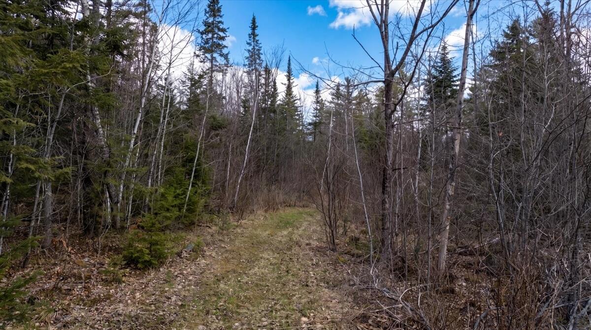 28 Trinity Way Monmouth, ME 04259 - Photo 5 of 33 04-DJI_20260504105925_0181_D_edit