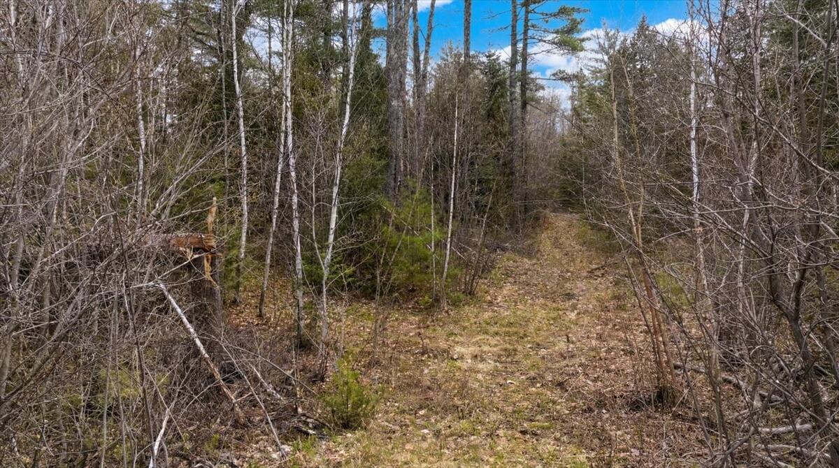 28 Trinity Way Monmouth, ME 04259 - Photo 6 of 33 05-DJI_20260504105939_0182_D_edit