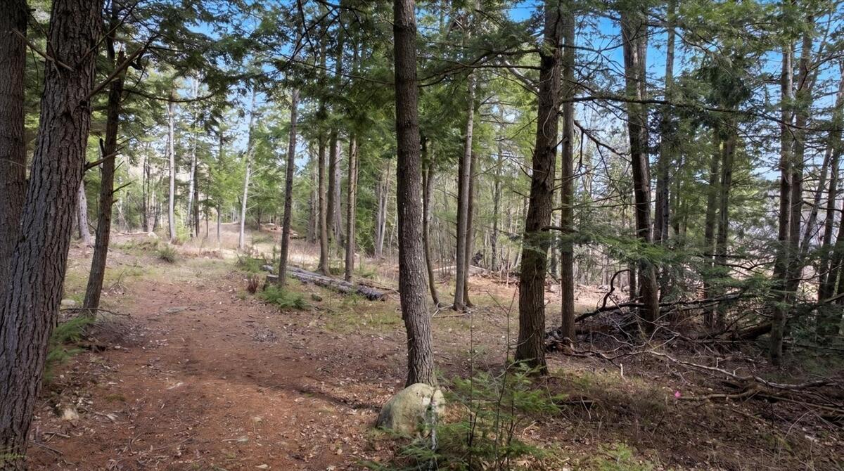 28 Trinity Way Monmouth, ME 04259 - Photo 10 of 33 15-DJI_20260504110310_0196_D_edit