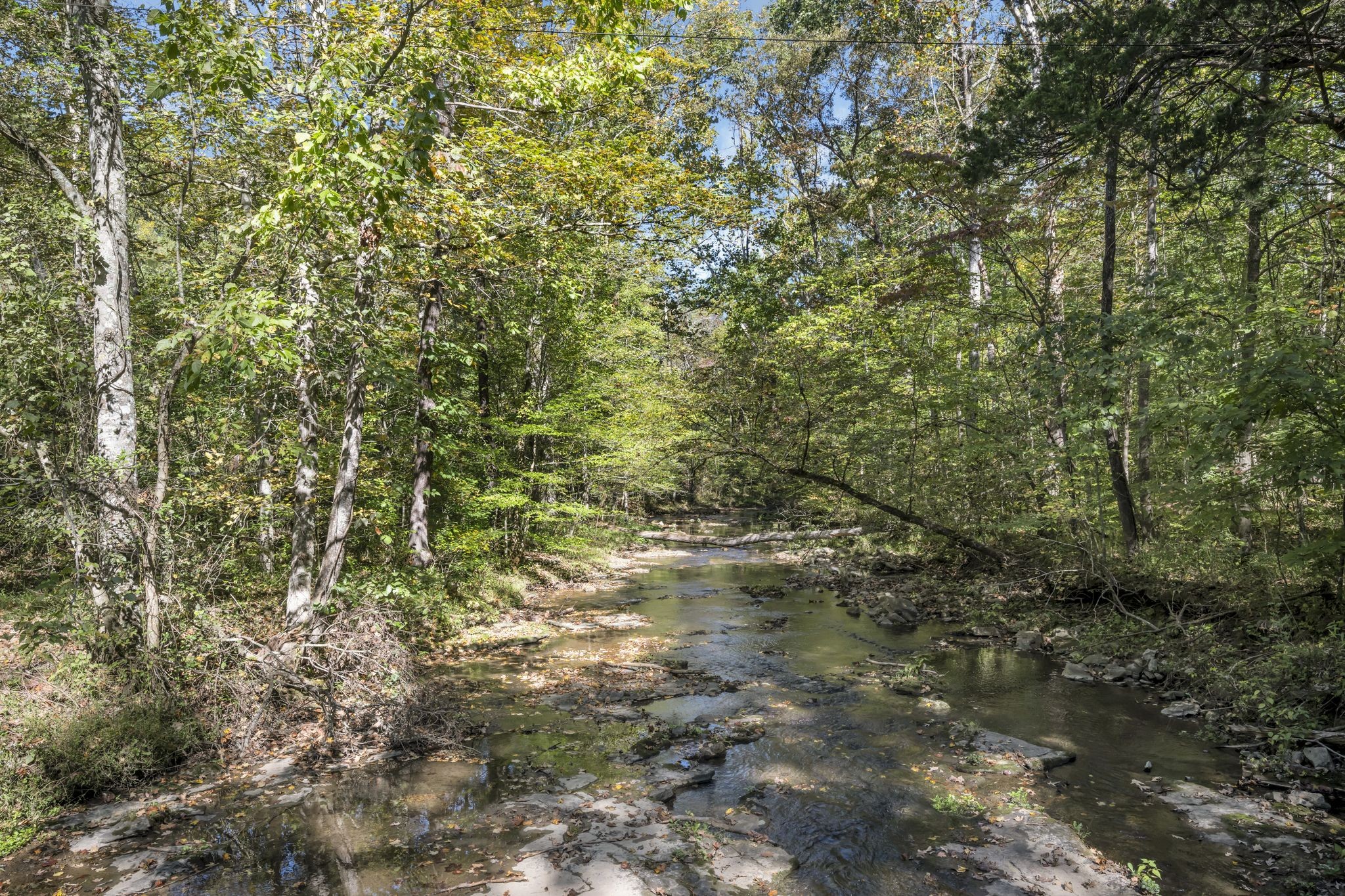 1194 Spann Road Charlotte, TN 37036 - Photo 55 of 55