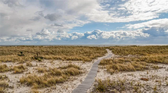 a view of a livingroom with furniture window and wooden floor