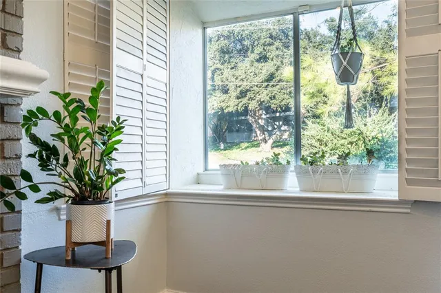 a view of a window with a flower pot