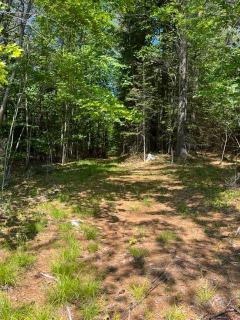 Tbd Stock Farm Road South Paris, ME 04281 - Photo 9 of 39 Up-Land-IntoWoods
