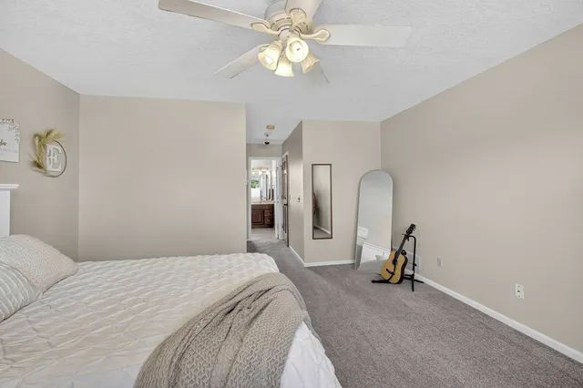 a view of a trees in a yard