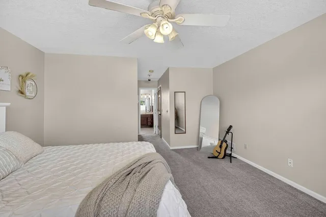 a view of a trees in a yard