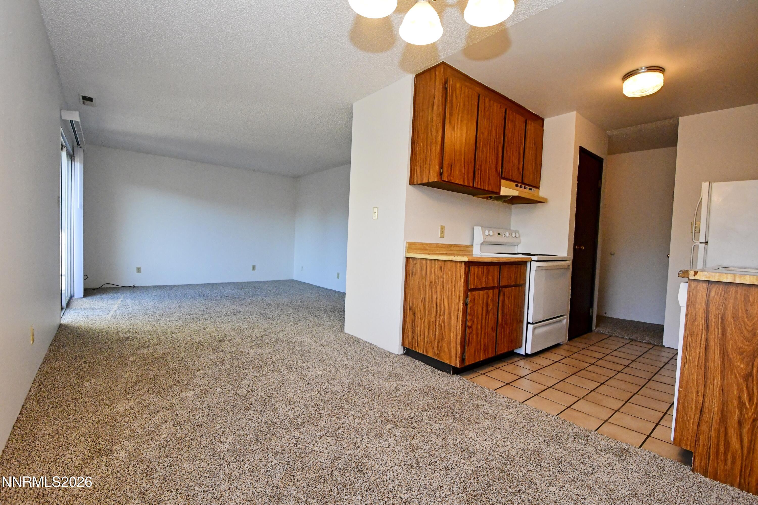 400 South Saliman Road, Unit 134 Carson City, NV 89701 - Photo 3 of 13 DSC_2210