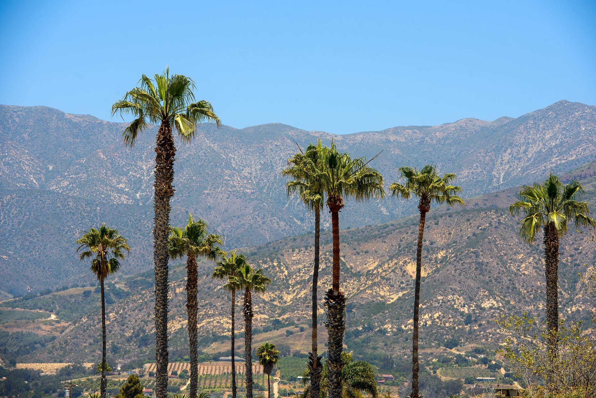 4849 3rd Street Carpinteria, CA 93013 - Photo 42 of 48 a view of a city with a flower in a garden