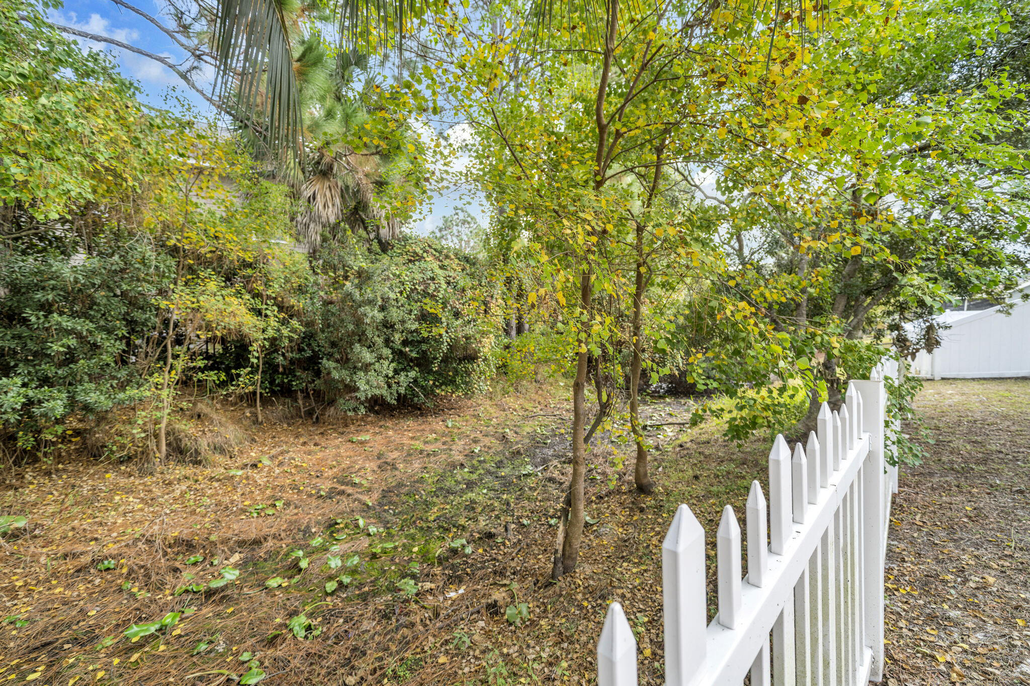 59 Hidden Lakes Drive Destin, FL 32550 - Photo 38 of 39 a view of a yard with plants and trees