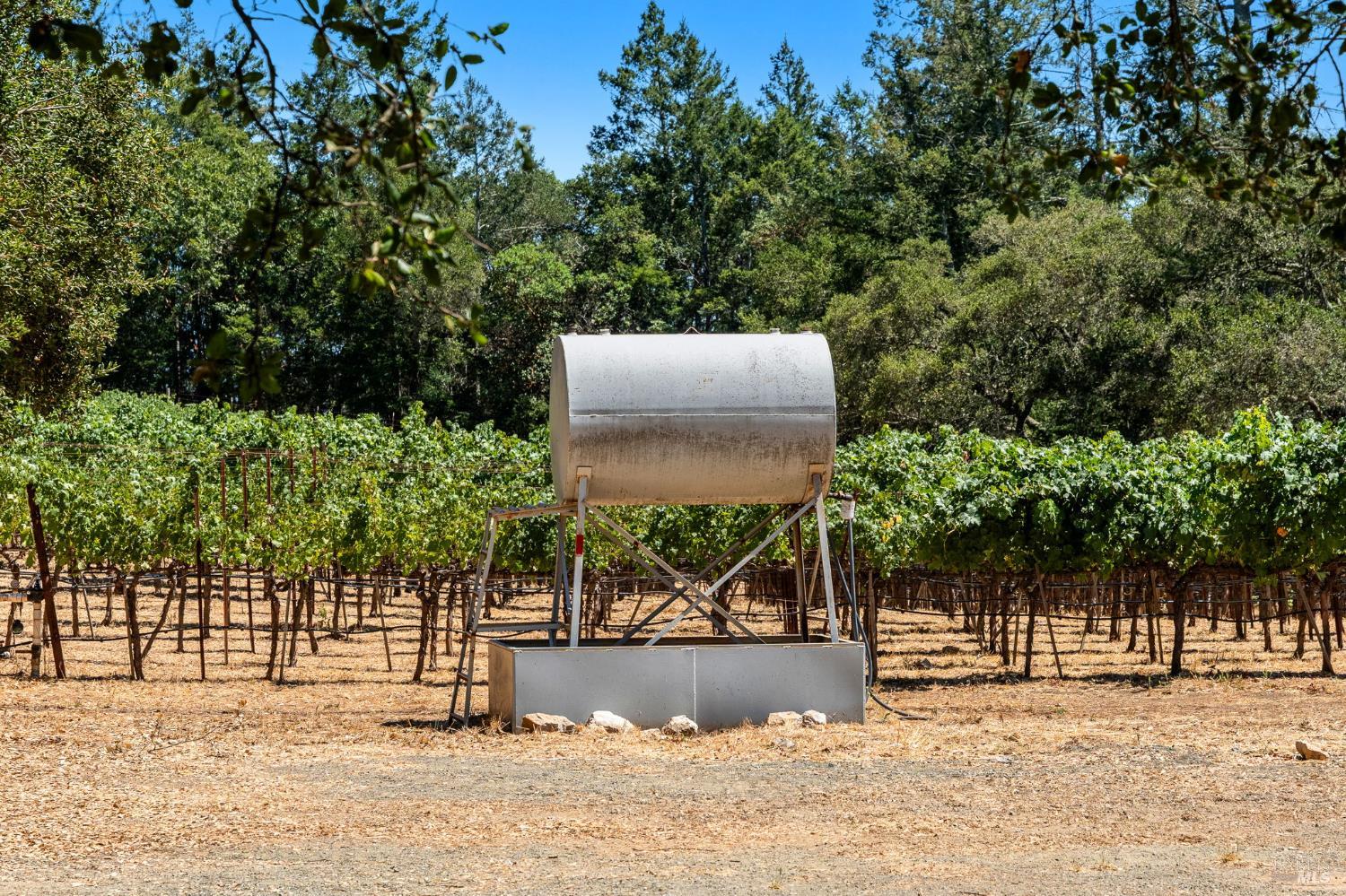 1075 Greenfield Road St. Helena, CA 94574 - Photo 11 of 22 Gallery Image 11