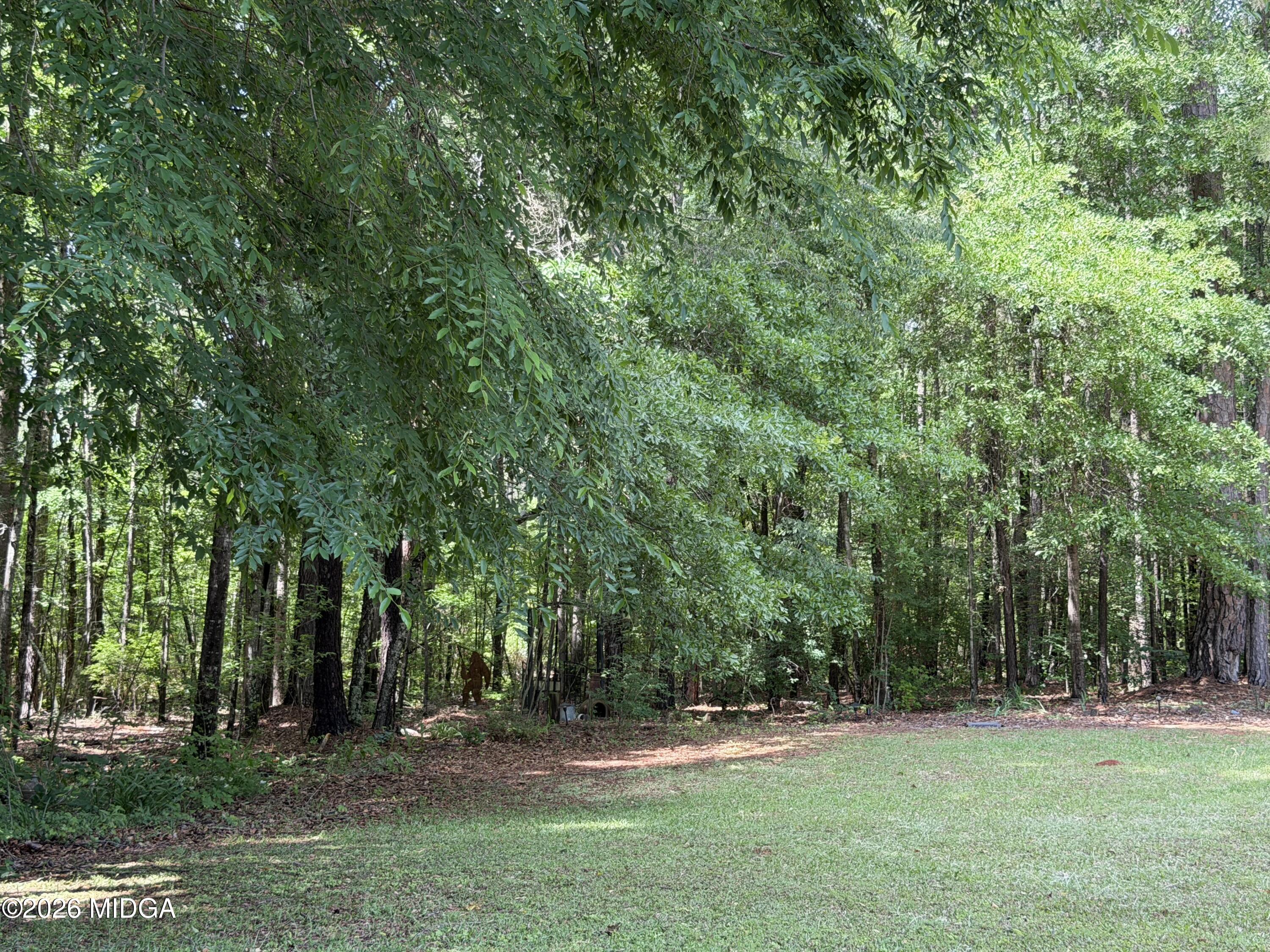 125 Hampton Ridge Road Macon, GA 31220 - Photo 48 of 53 IMG_4698