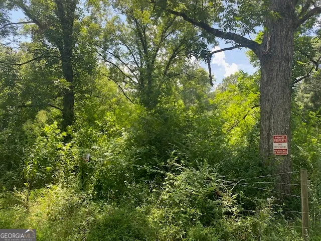 $48,000 | 0 Bradfield Drive, LaGrange, GA 30240