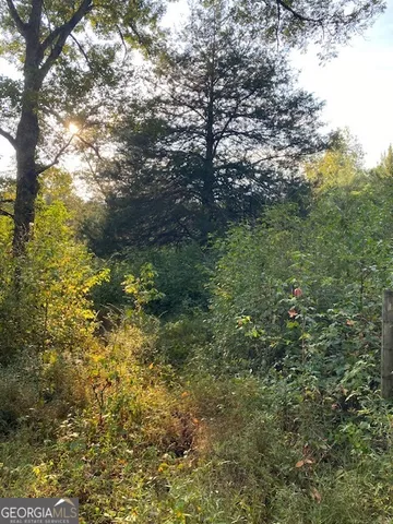 $48,000 | 0 Bradfield Drive, LaGrange, GA 30240