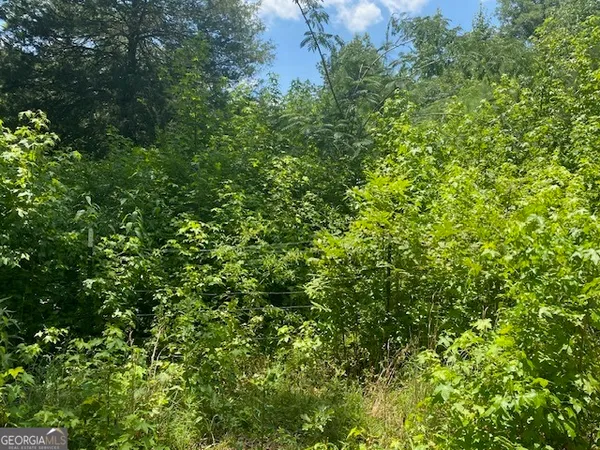 $40,000 | 0 Bradfield Drive, LaGrange, GA 30240