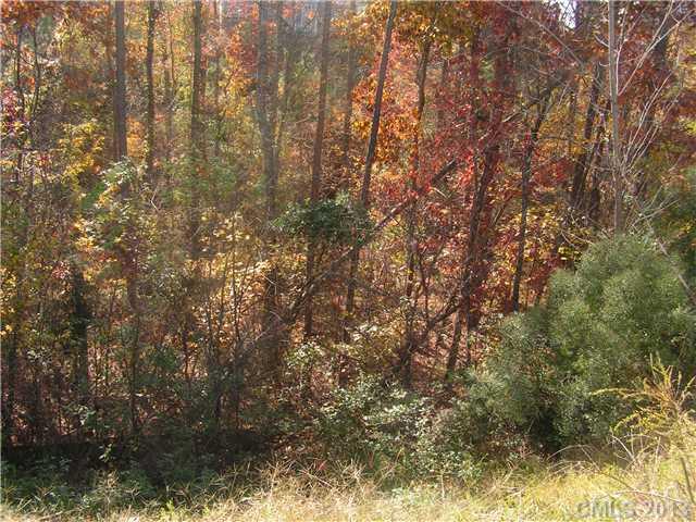 7678 Black Hawk Lane Tega Cay, SC 29708 - Photo 2 of 3