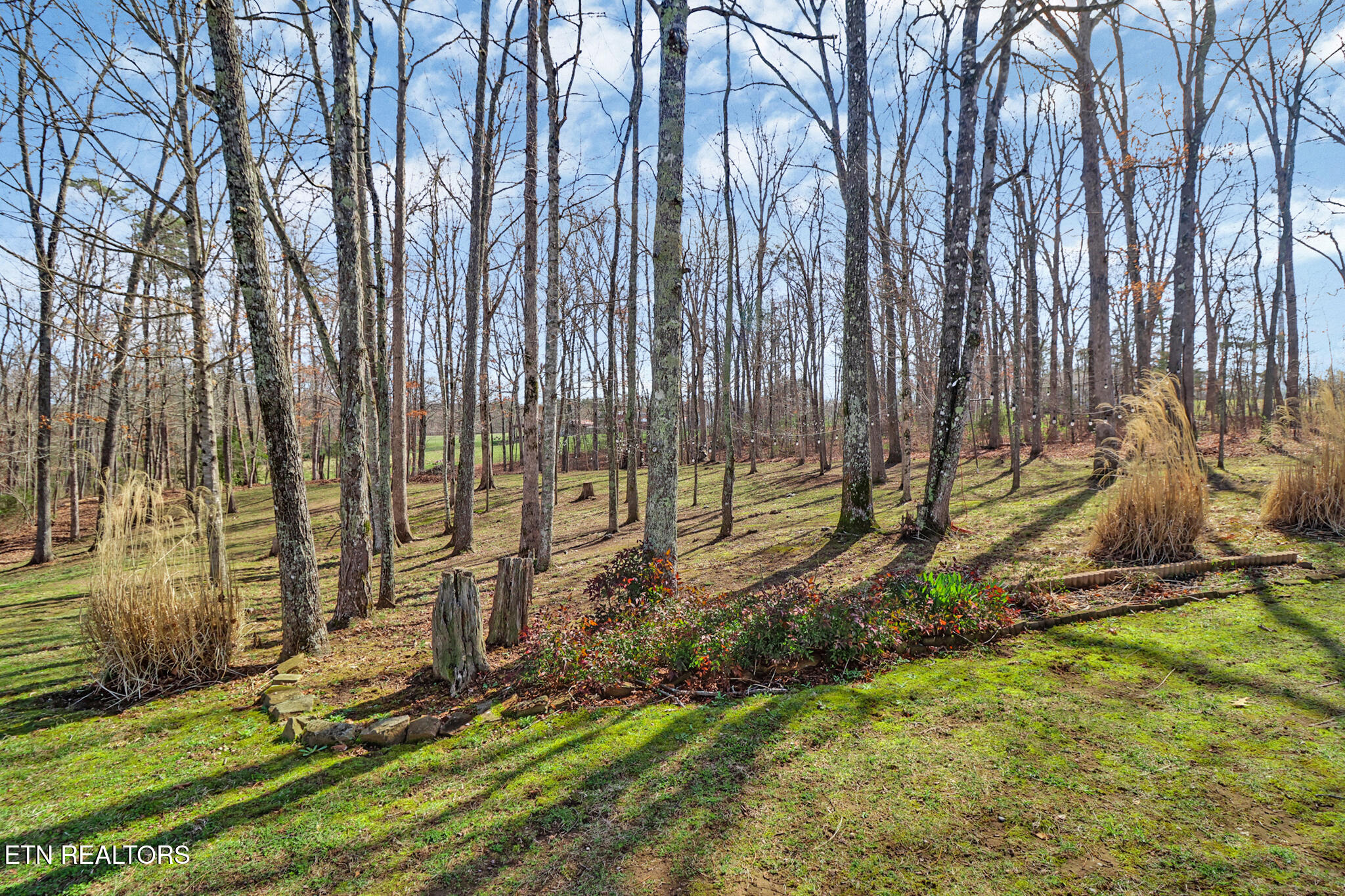 82 Scott Creek Road Crossville, TN 38571 - Photo 36 of 43 back yard