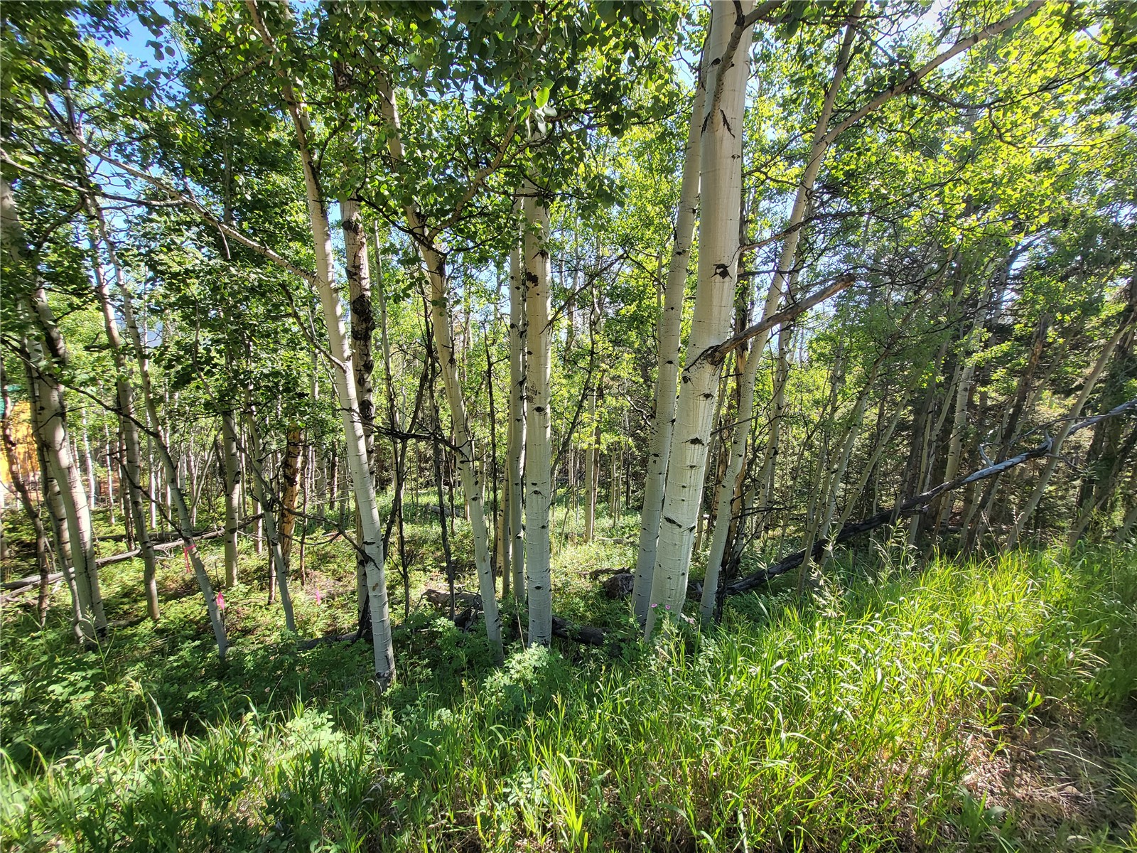 Tbd Michigan Hill Road Jefferson, CO 80456 - Photo 32 of 44