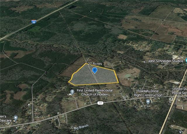 0 Efferson Road Holden, LA 70744 - Photo 1 of 3 Gallery Image 1