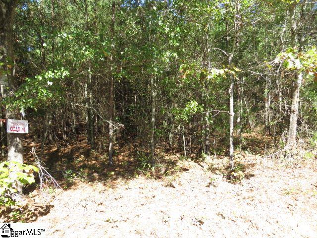 Mcneely Road Liberty, SC 29657 - Photo 3 of 4