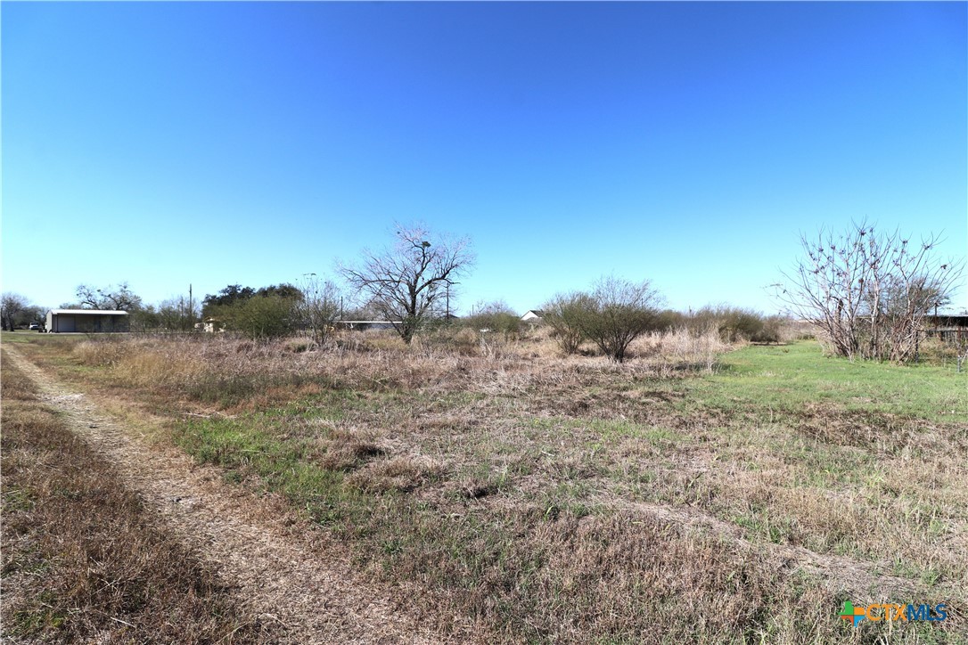 0 Cotton Street Fannin, TX 77960 - Photo 16 of 25