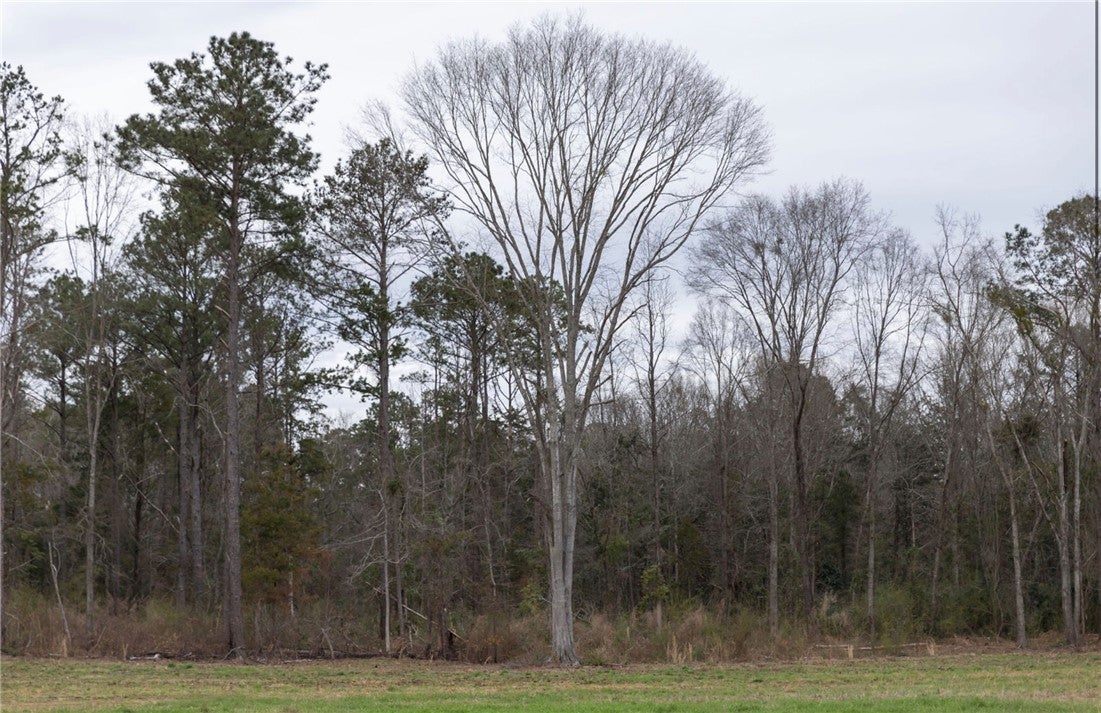 174 Allbrite Road Opelika, AL 36801 - Photo 7 of 8 Gallery Image 7