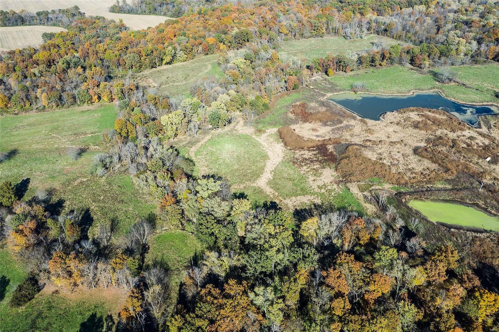 6111 Quail Run Road Salem, IL 62881 - Photo 19 of 65