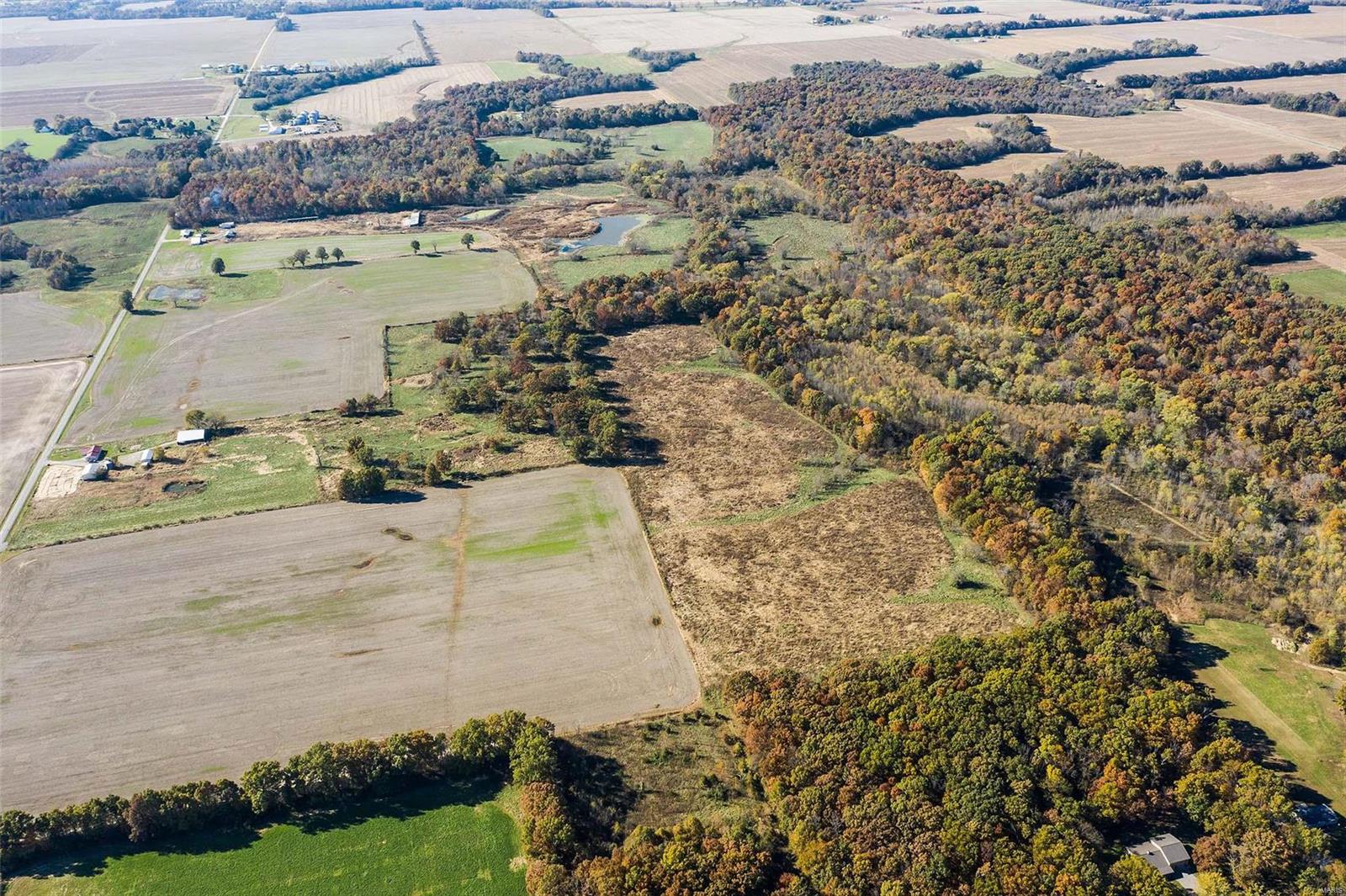 6111 Quail Run Road Salem, IL 62881 - Photo 3 of 65