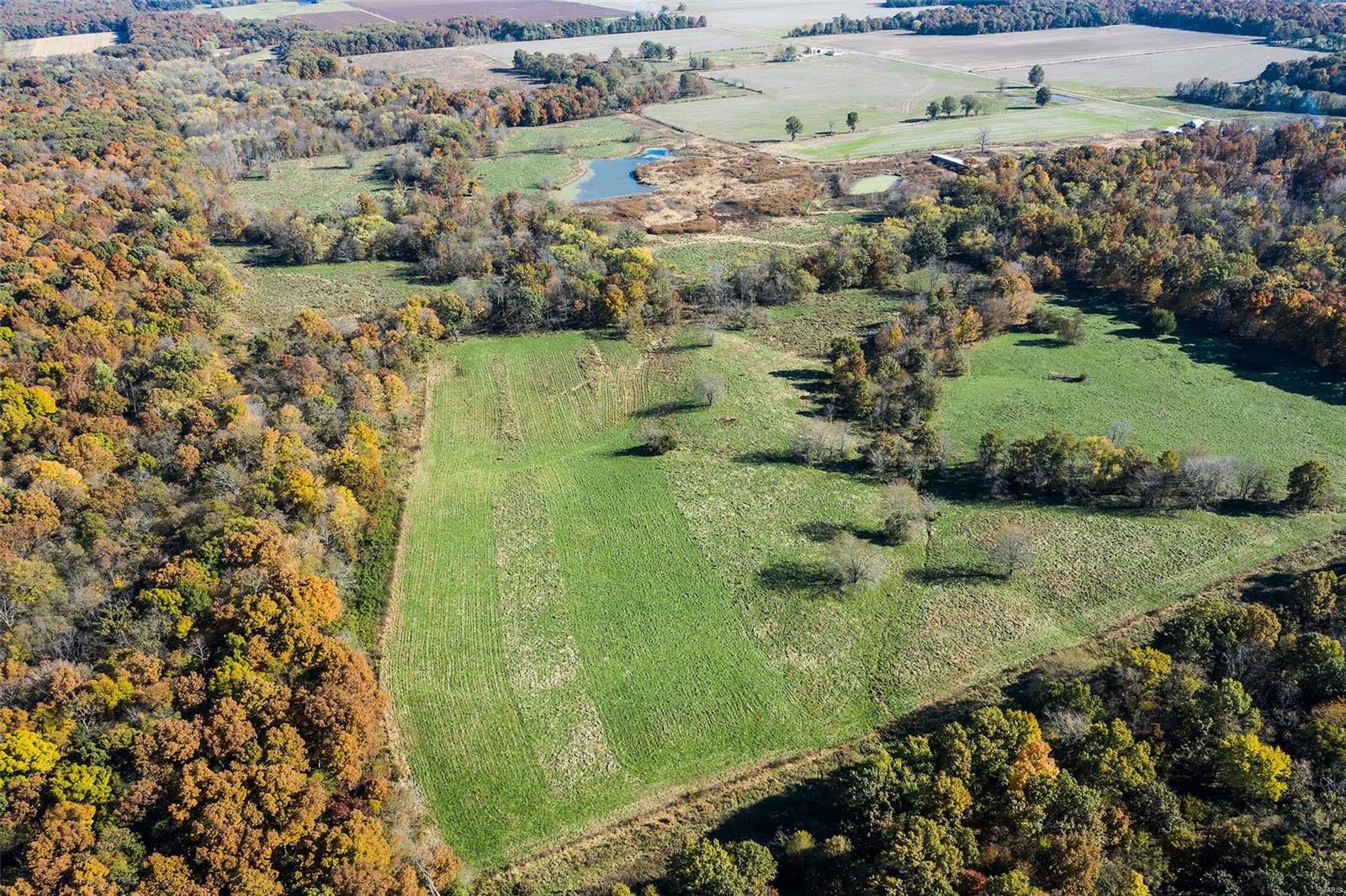 6111 Quail Run Road Salem, IL 62881 - Photo 27 of 65